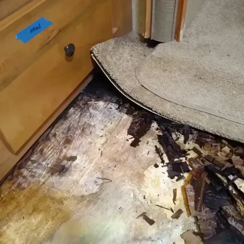 Wood Floor Water Damage in Jonesboro, IL